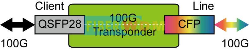 100G Transponder 