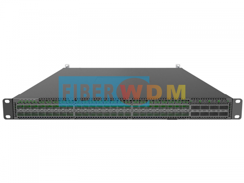  Data Center Switch 48x100Ge DSFP ports and 8x400Ge QSFP-DD uplink ports DS610 .